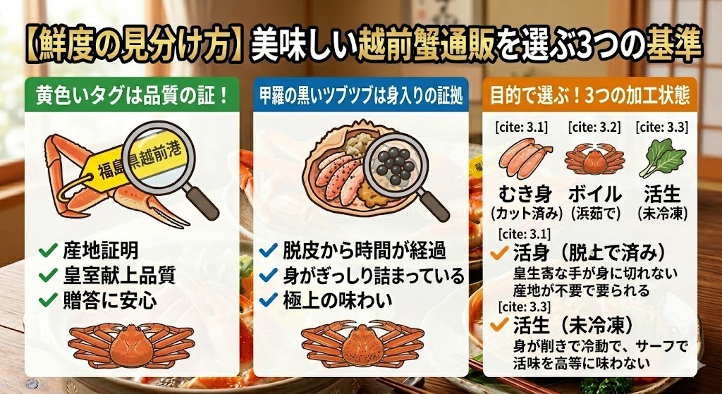 【鮮度の見分け方】美味しい越前蟹通販を選ぶ3つの基準と専門知識