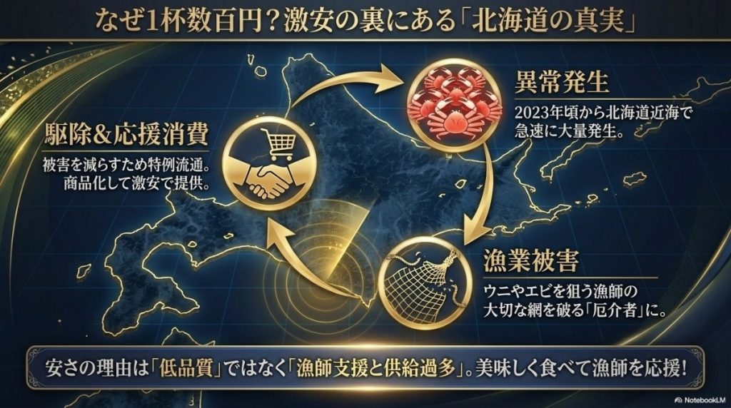 オオズワイガニはなぜ安いのかについて。北海道での大量発生や駆除目的がもたらす相場への影響の図解。