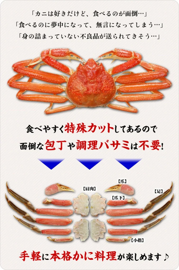 越前かに職人 甲羅組 カニ 特徴